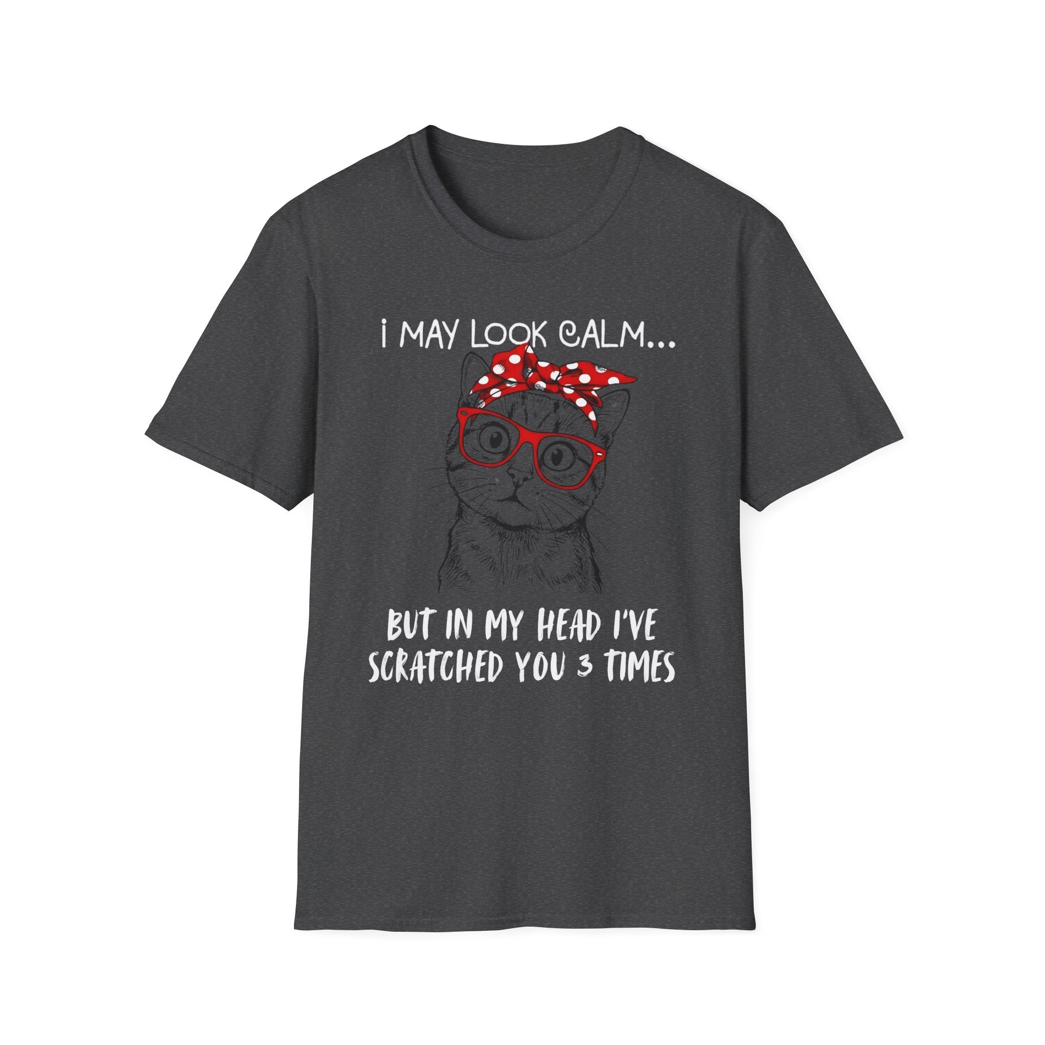 I May Look Calm T-Shirt