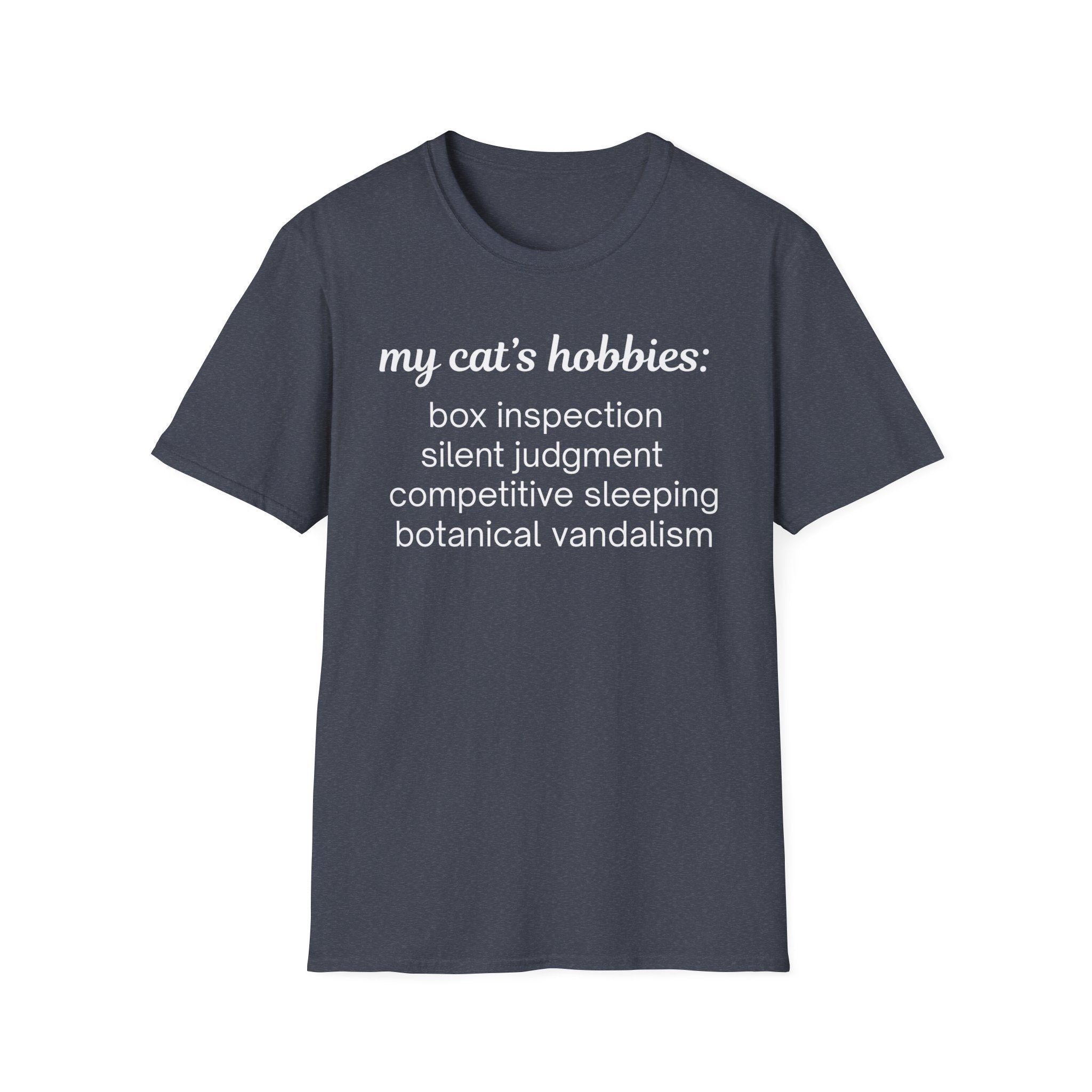 My Cat's Hobbies Box Inspection