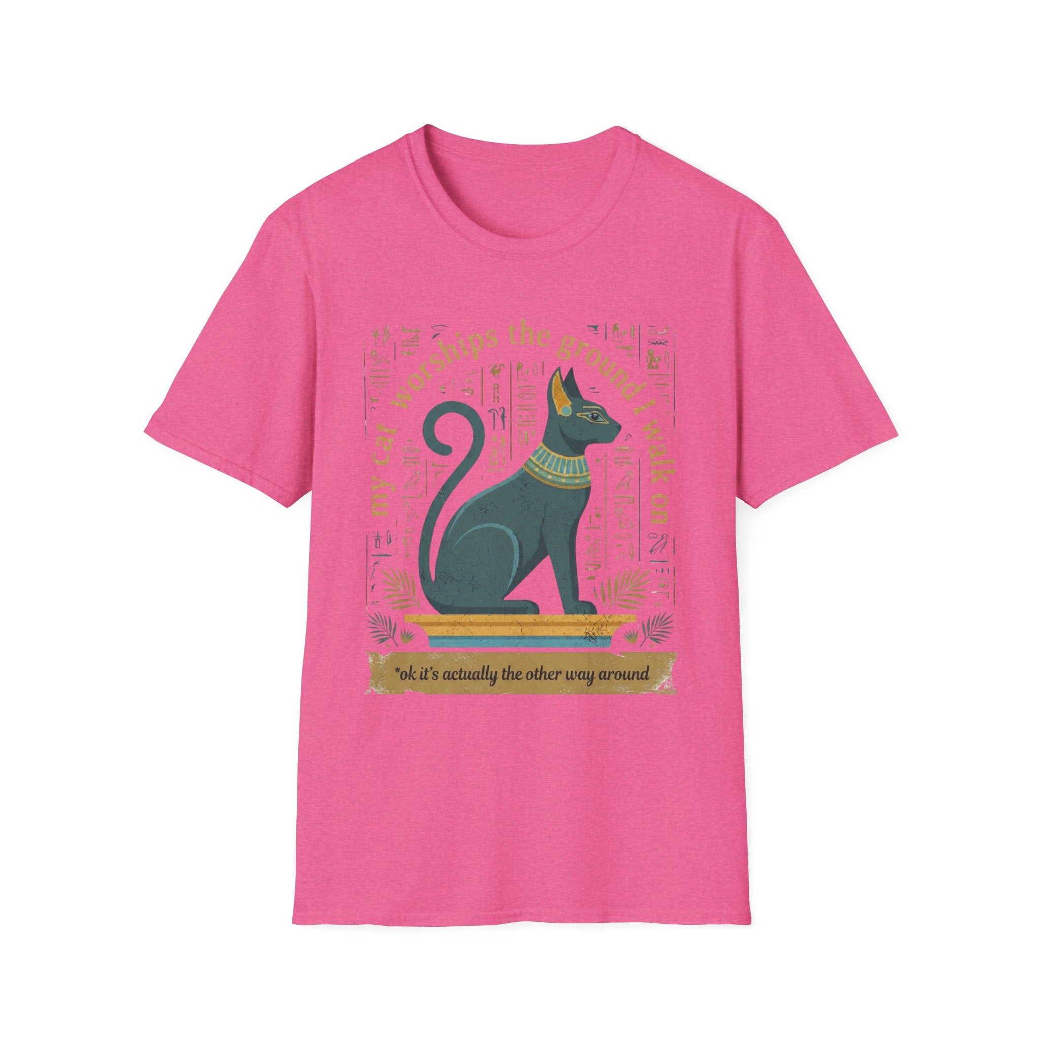 My Cat Worships the Ground I Walk On T-Shirt