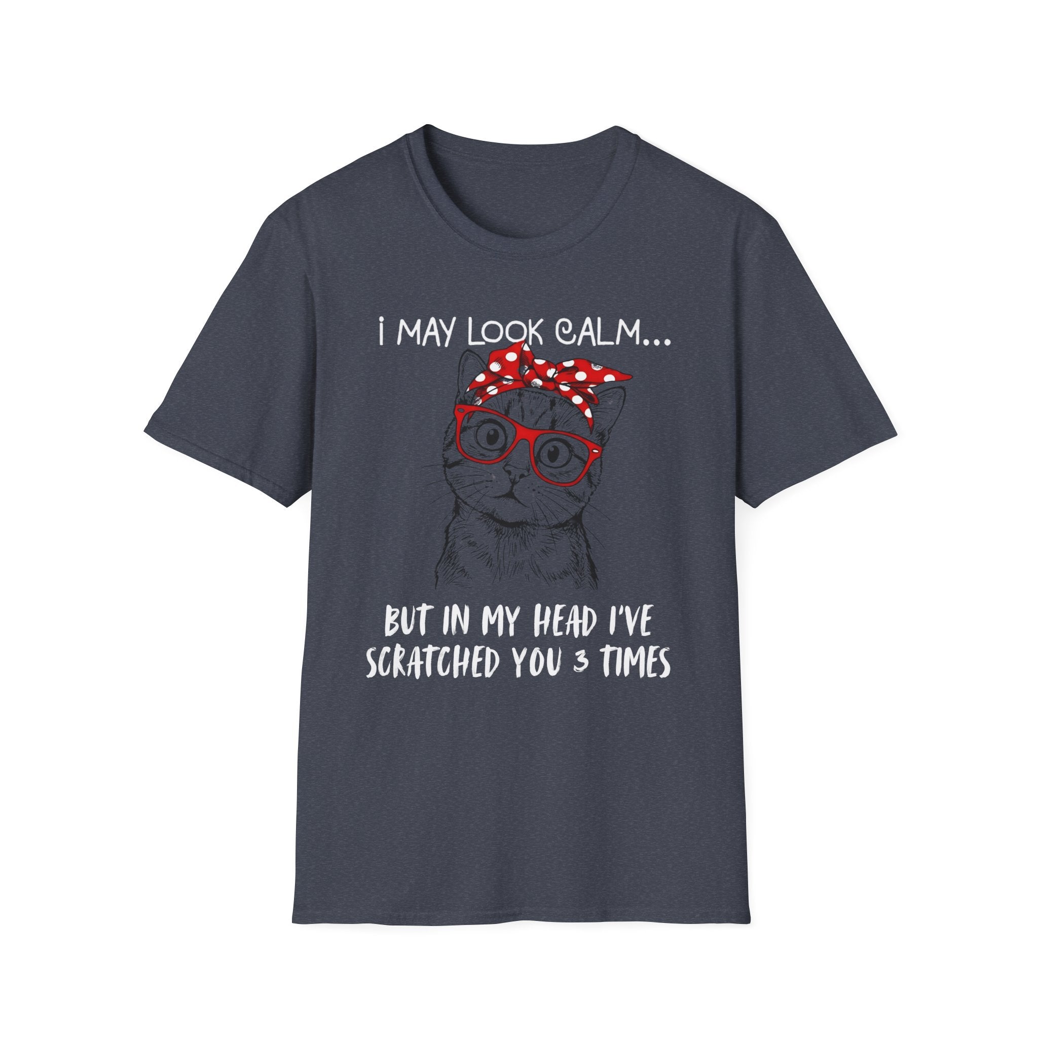 I May Look Calm T-Shirt