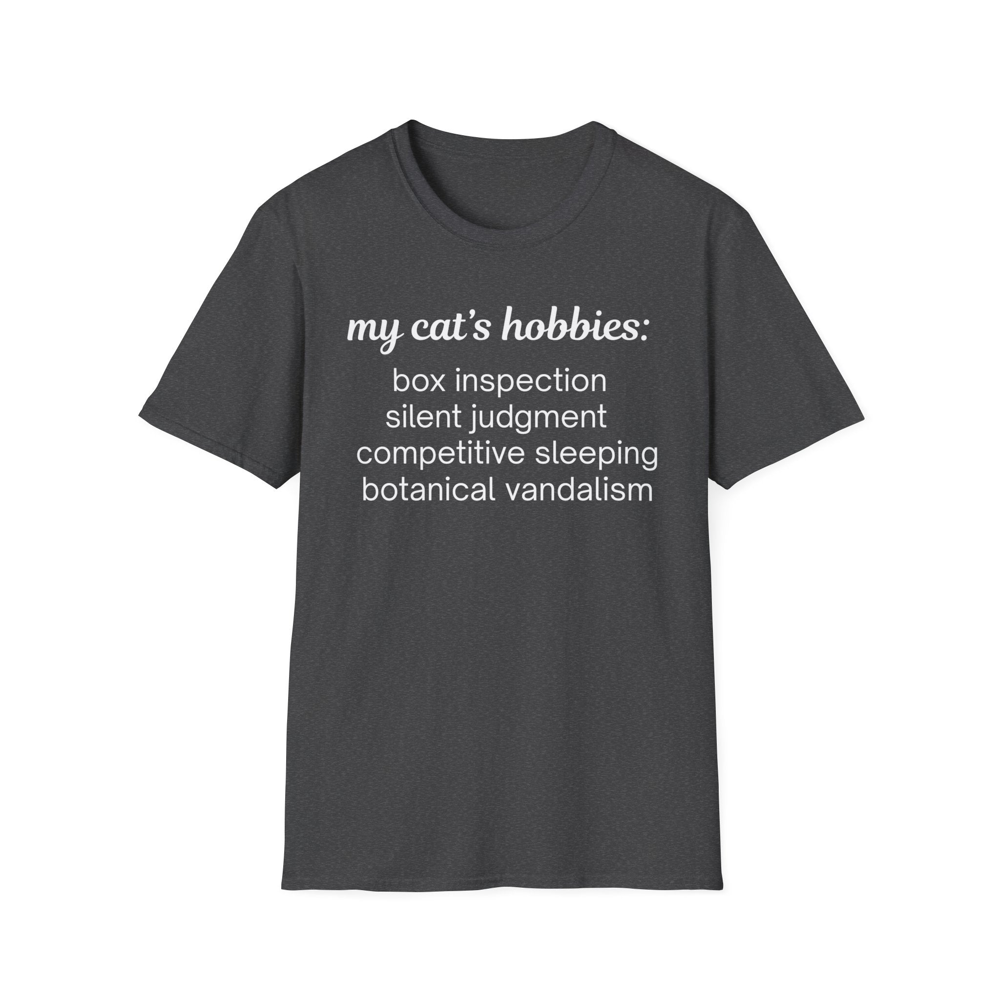 My Cat's Hobbies Box Inspection